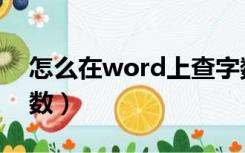 怎么在word上查字数（在word中怎么查字数）
