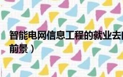 智能电网信息工程的就业去向（智能电网信息工程专业就业前景）