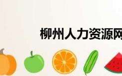柳州人力资源网（柳州人事网）