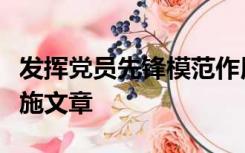 发挥党员先锋模范作用方面存在的问题整改措施文章