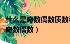 什么是奇数偶数质数和合数（什么是质数合数奇数偶数）