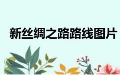 新丝绸之路路线图片（新丝绸之路路线图）