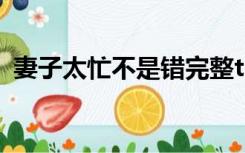 妻子太忙不是错完整txt（妻子太忙不是错）