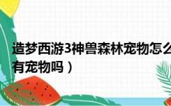 造梦西游3神兽森林宠物怎么捕捉（造梦西游3神兽森林副本有宠物吗）