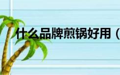 什么品牌煎锅好用（甚么牌子的煎锅好）