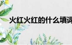 火红火红的什么填词（火红火红的什么）