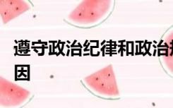 遵守政治纪律和政治规矩方面存在的问题和原因