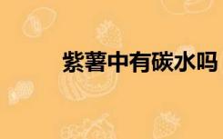 紫薯中有碳水吗（紫薯是碳水吗）