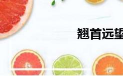 翘首远望（翘首）