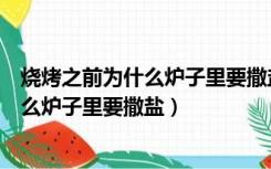 烧烤之前为什么炉子里要撒盐用的是什么碳（烧烤之前为什么炉子里要撒盐）