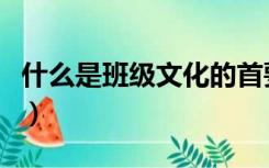 什么是班级文化的首要特点（什么是班级文化）