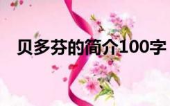 贝多芬的简介100字（贝多芬简介100字）