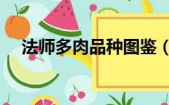 法师多肉品种图鉴（法师多肉品种图片）