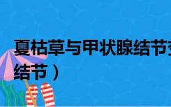 夏枯草与甲状腺结节变小了（夏枯草与甲状腺结节）