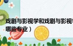 戏剧与影视学和戏剧与影视学类区别（戏剧与影视学类包含哪些专业）