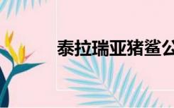 泰拉瑞亚猪鲨公爵（猪鲨公爵）
