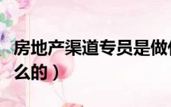 房地产渠道专员是做什么的（渠道专员是做什么的）