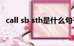 call sb sth是什么句子结构（call sb sth）