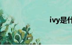 ivy是什么意思