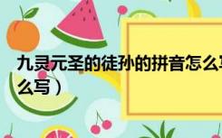 九灵元圣的徒孙的拼音怎么写呀（九灵元圣的徒孙的拼音怎么写）
