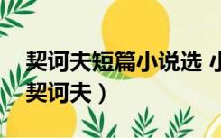 契诃夫短篇小说选 小说（契诃夫短篇小说选契诃夫）