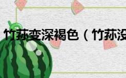 竹荪变深褐色（竹荪没开袋变褐色怎么回事）