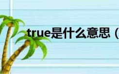 true是什么意思（ture是什么意思）