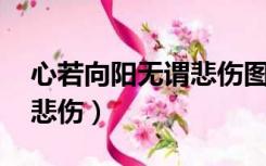 心若向阳无谓悲伤图片 壁纸（心若向阳无谓悲伤）
