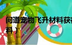 问道宠物飞升材料获得详细（问道宠物飞升材料）