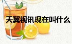 天翼视讯现在叫什么（天翼视讯股票老左）