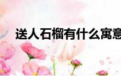 送人石榴有什么寓意（石榴有什么寓意）