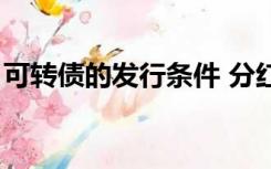 可转债的发行条件 分红（可转债的发行条件）