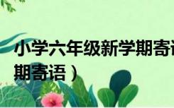 小学六年级新学期寄语大全（小学六年级新学期寄语）