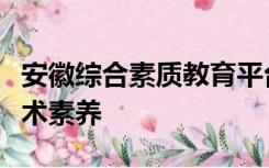 安徽综合素质教育平台自我评述怎么写关于艺术素养