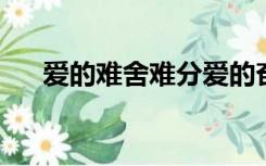 爱的难舍难分爱的奋不顾身是什么歌词