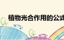植物光合作用的公式（光合作用的公式）