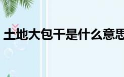 土地大包干是什么意思（大包干是什么意思）