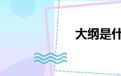 大纲是什么意思？