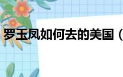 罗玉凤如何去的美国（罗玉凤怎么去的美国）