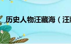 历史人物汪藏海（汪藏海历史有这个人没）