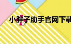 小胖子助手官网下载（小胖子助手官网）