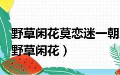 野草闲花莫恋迷一朝乐极便生悲是什么意思（野草闲花）