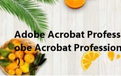 Adobe Acrobat Professional V8.1 官方简体中文版（Adobe Acrobat Professional V8.1 官方简体中文版功能简介）
