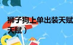 狮子狗上单出装天赋（狮子狗打野 上单 符文天赋）