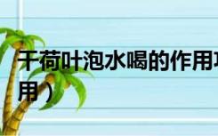 干荷叶泡水喝的作用功效（干荷叶泡水喝的作用）