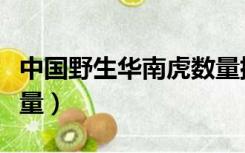 中国野生华南虎数量排名（中国野生华南虎数量）