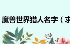 魔兽世界猎人名字（求个魔兽世界猎人名字）
