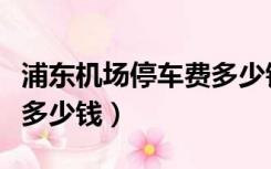 浦东机场停车费多少钱（浦东机场停车费一天多少钱）