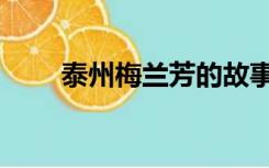 泰州梅兰芳的故事（梅兰芳的故事）