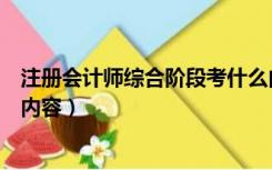 注册会计师综合阶段考什么内容（注册会计师综合阶段考试内容）